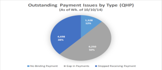 QHP Payment Chart