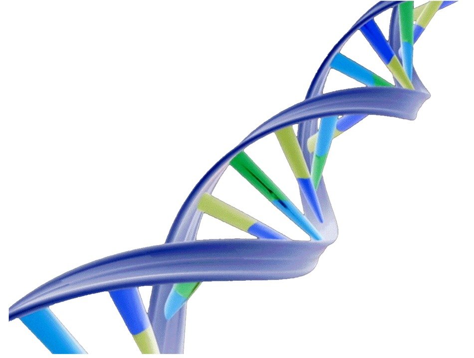 Intermountain launches world's largest DNA mapping project for children - State of Reform - Vimarsana News